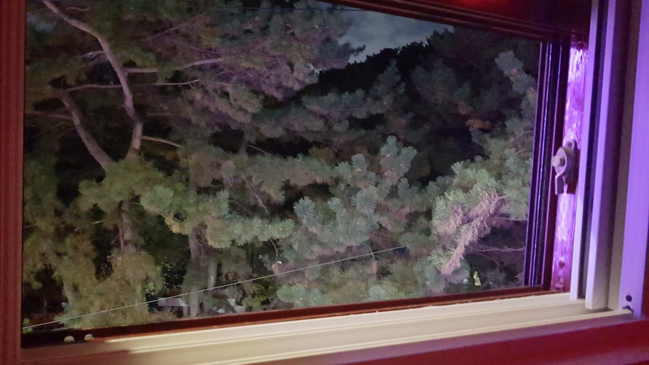בוסאן The M Hotel מראה חיצוני תמונה